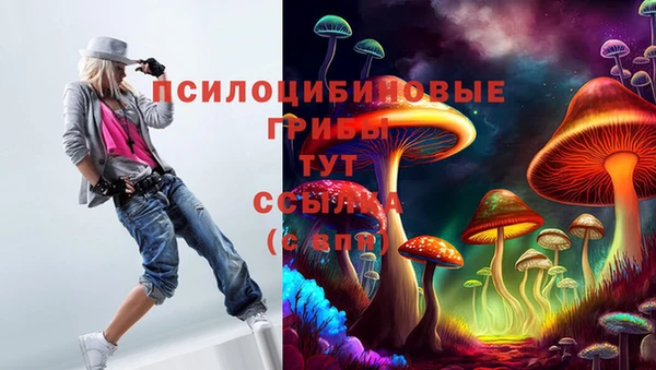 соль курить ск Вязьма