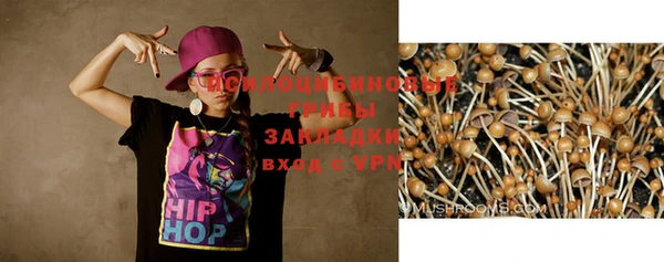прущая мука Володарск