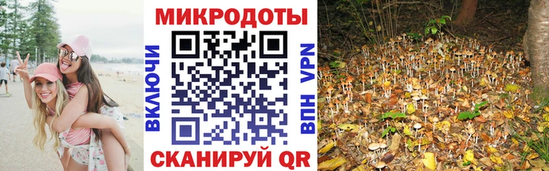 Псилоцибиновые грибы Psilocybe  продажа наркотиков  Назарово 