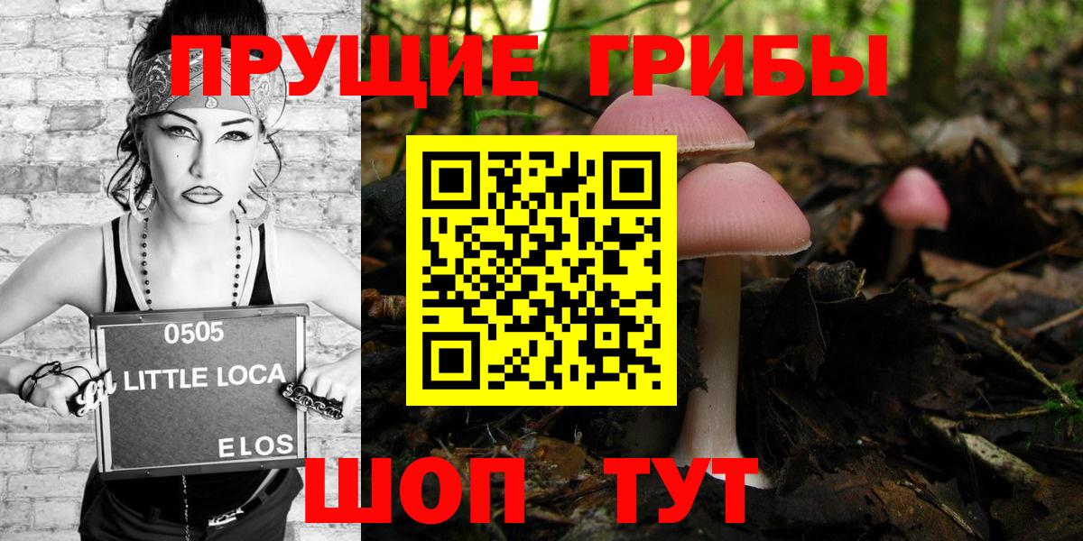 Псилоцибиновые грибы Psilocybine cubensis  Вход с VPN  Назарово 