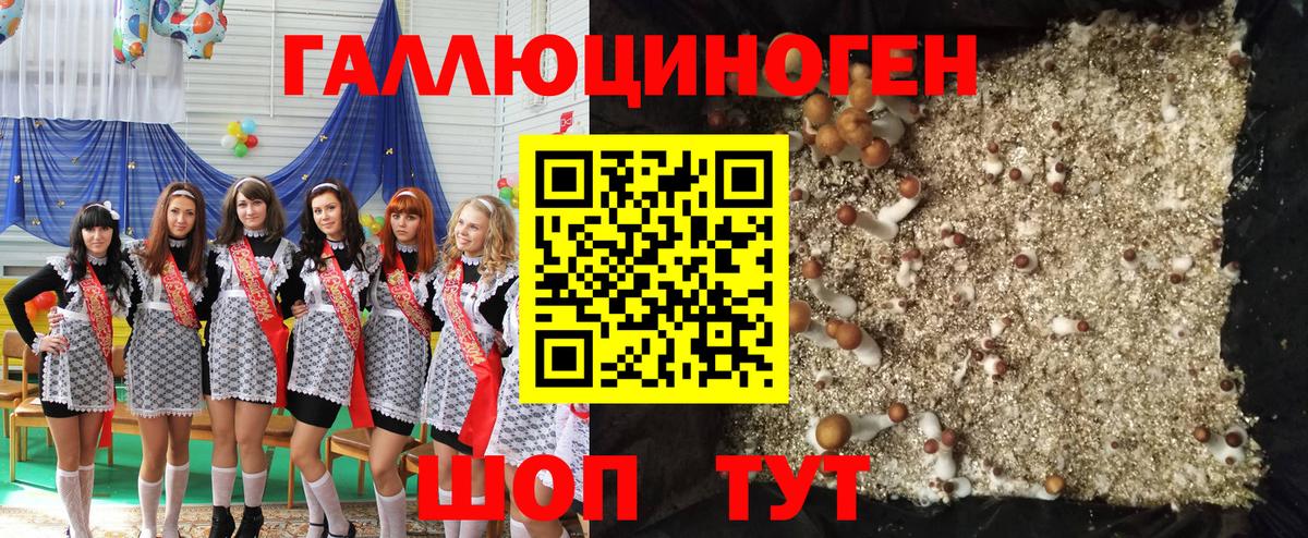 Псилоцибиновые грибы MAGIC MUSHROOMS Назарово