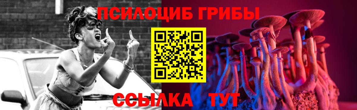 Псилоцибиновые грибы Cubensis  Псилоцибиновые грибы прущие грибы  Назарово 